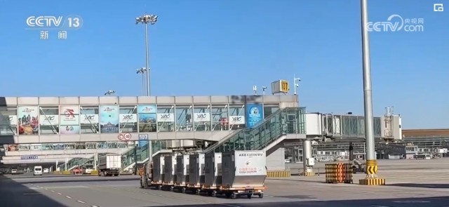 宝威体育：物流“跑起来”！稳定因素累积 货畅其流凸显中国经济蓬勃活力(图7)