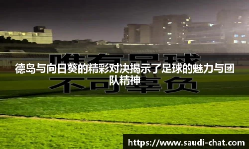 中欧体育官网版